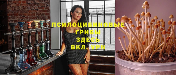 первитин Протвино