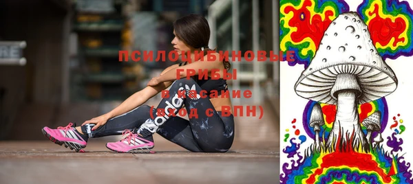 ГАЛЛЮЦИНОГЕННЫЕ ГРИБЫ Волосово