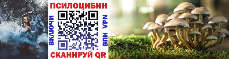 Псилоцибиновые грибы Psilocybe  Вилючинск 